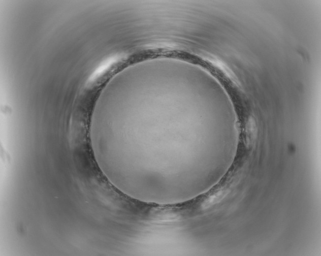 X0000091180967200708091219