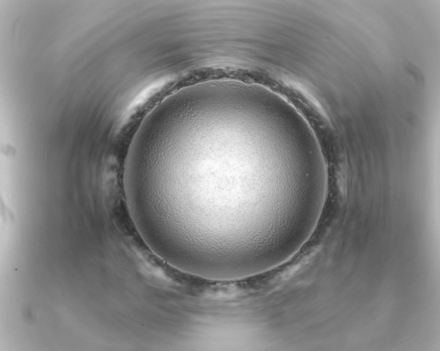 X0000091180968200708091219