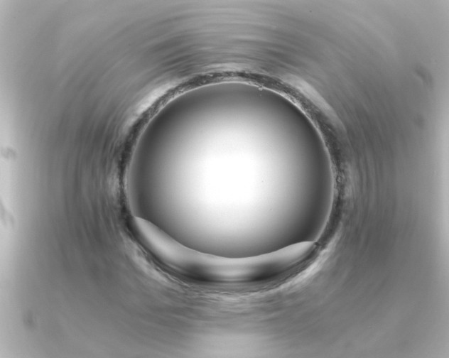 X0000091180969200708091219