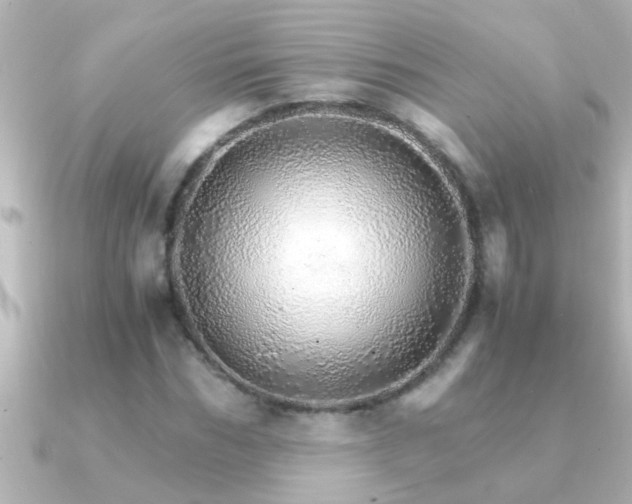 X0000091180970200708091219