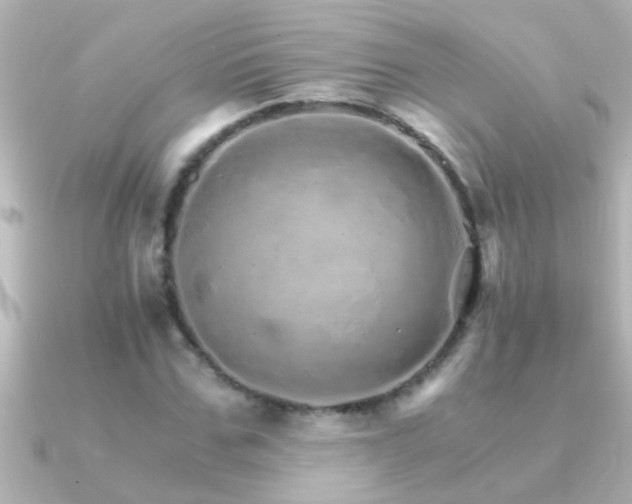 X0000091180971200708091219