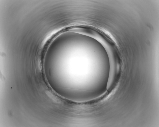 X0000091180973200708091219
