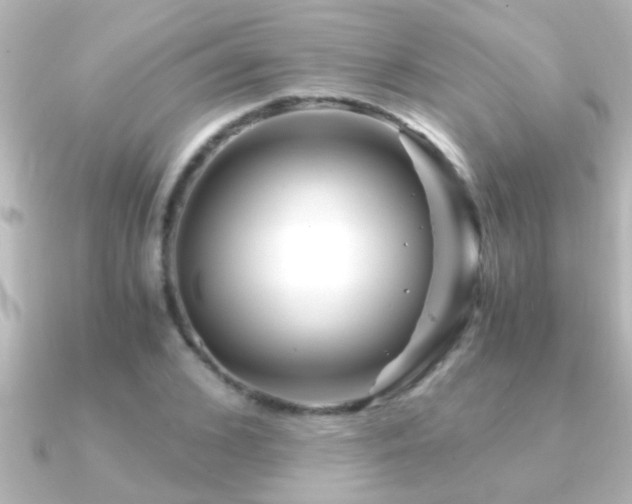 X0000091180976200708091219