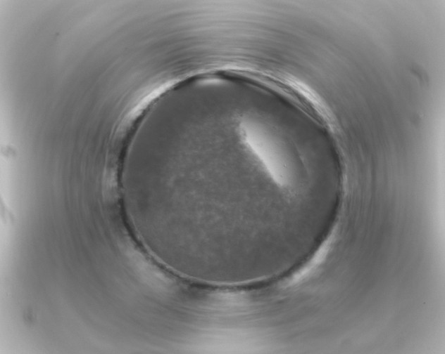 X0000091180977200708091219
