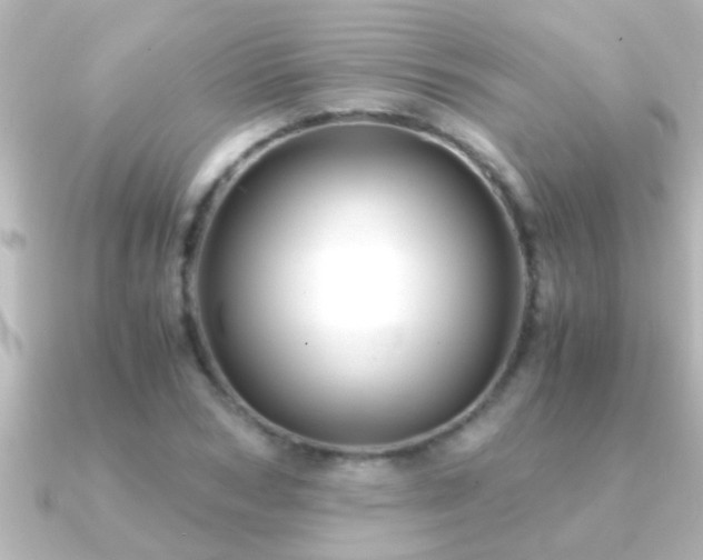 X0000091180978200708091219