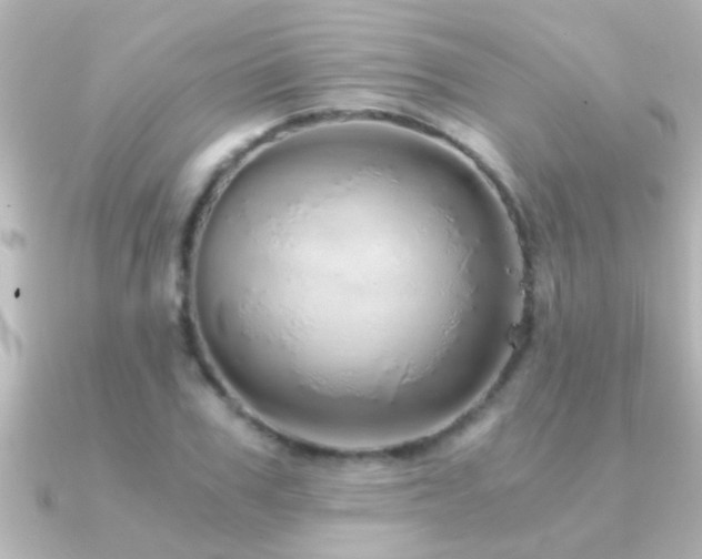 X0000091180979200708091219