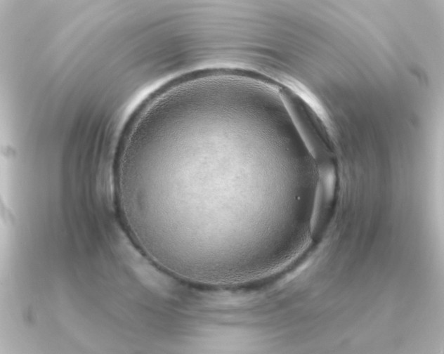 X0000091180980200708091219