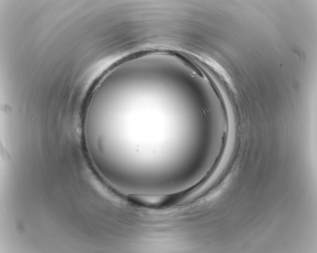 X0000091180981200708091219