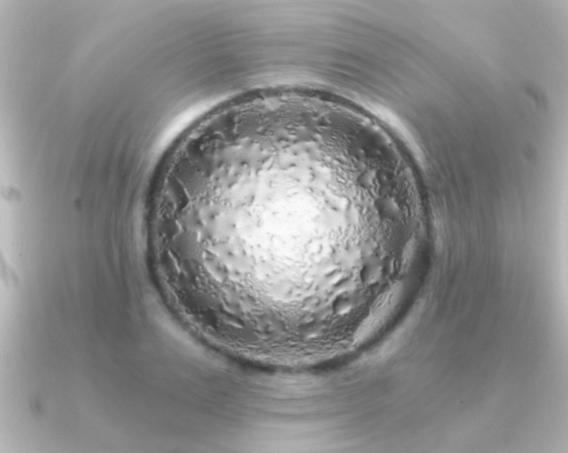 X0000091180983200708091219