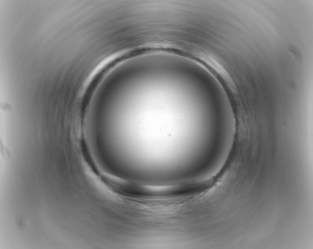X0000091180984200708091219