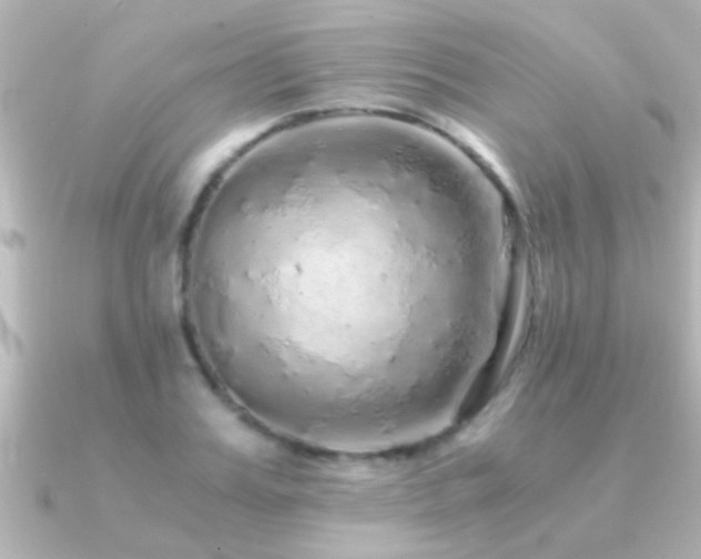 X0000091180987200708091219