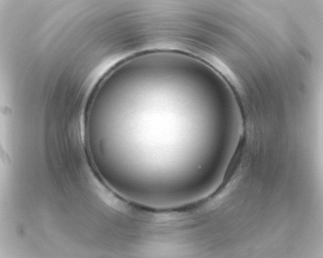 X0000091180988200708091219
