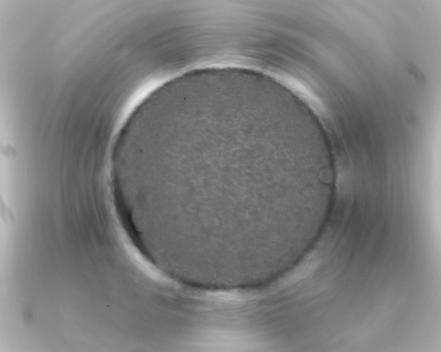 X0000091180990200708091219