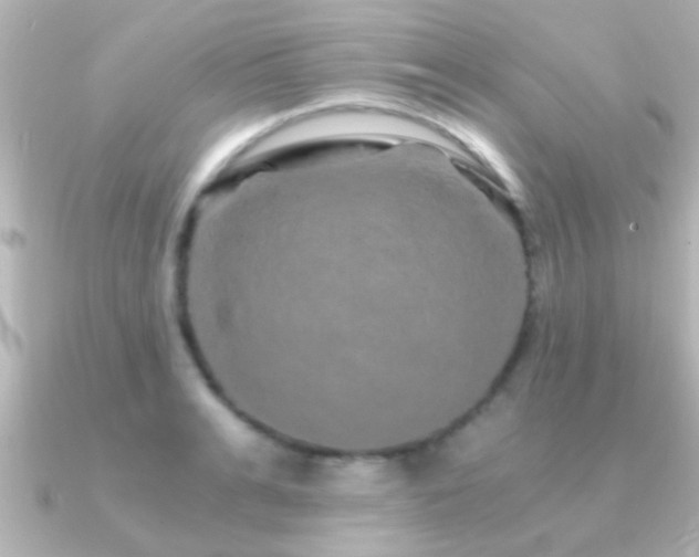 X0000091180991200708091219