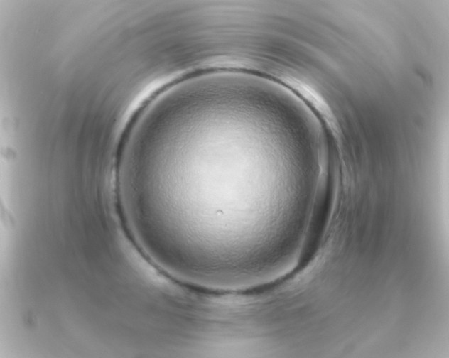 X0000091180992200708091219