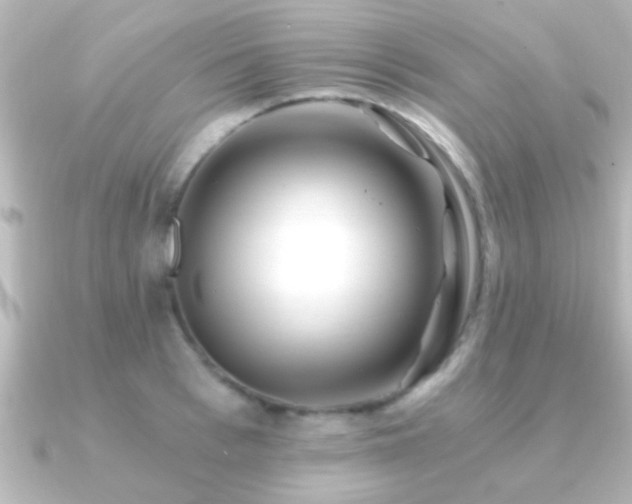 X0000091180993200708091219