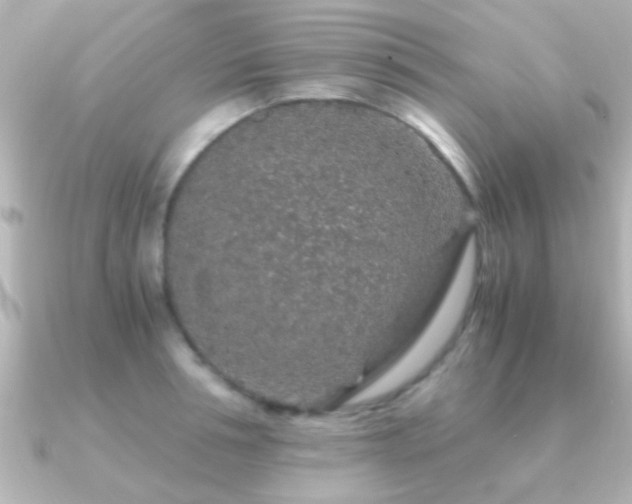 X0000091180994200708091219