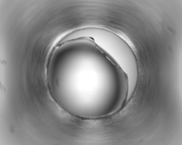 X0000091180996200708091219