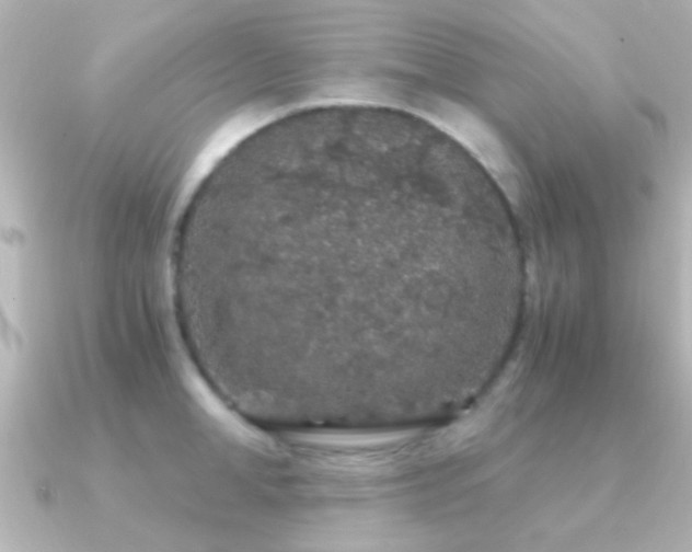 X0000091180998200708091219