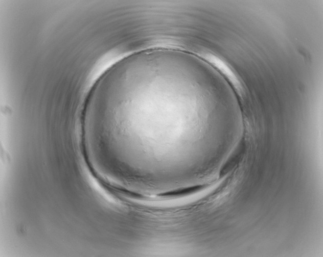 X0000091180999200708091219