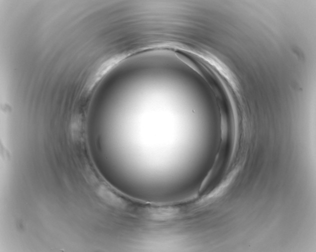 X0000091181001200708091219