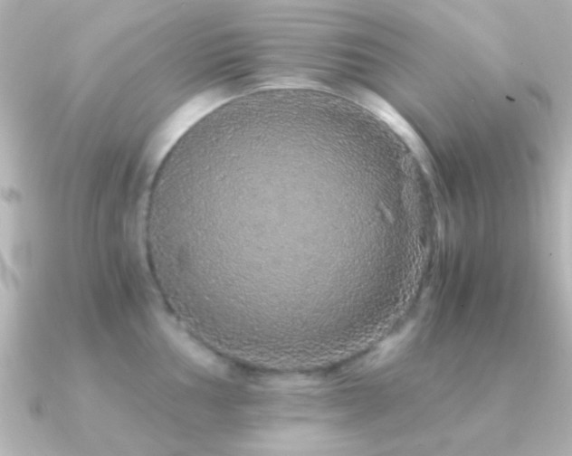 X0000091181002200708091219