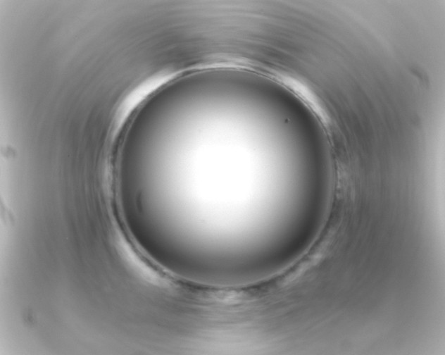 X0000091181003200708091219
