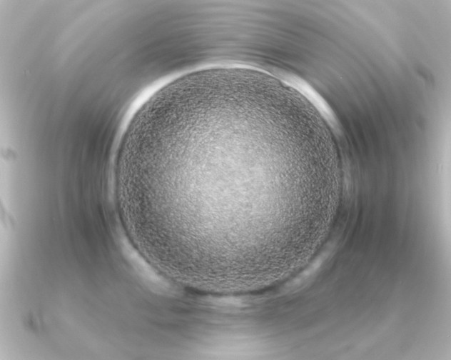 X0000091181004200708091219