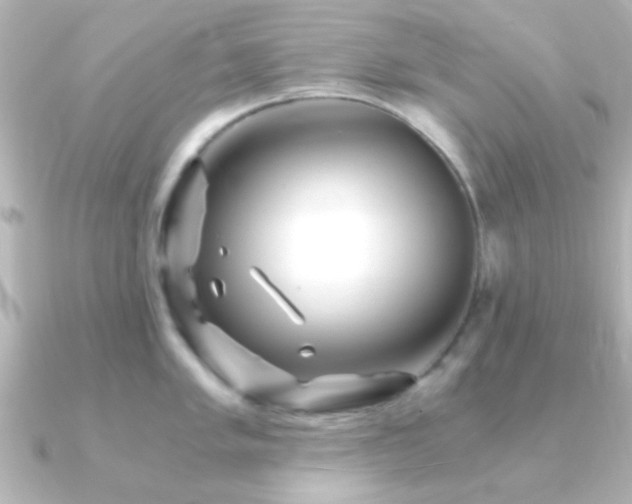 X0000091181005200708091219