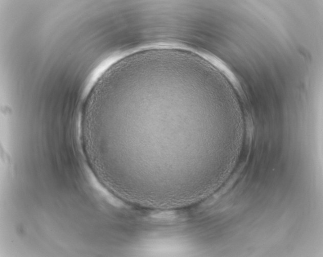 X0000091181006200708091219