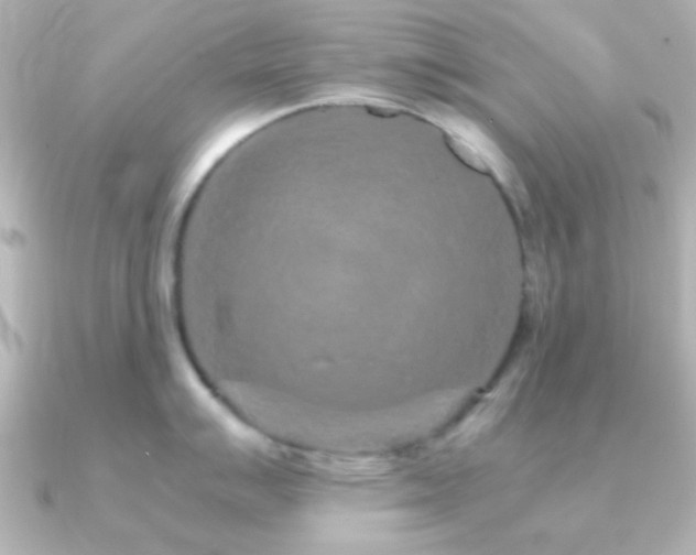 X0000091181007200708091219