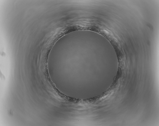X0000091181009200708091218