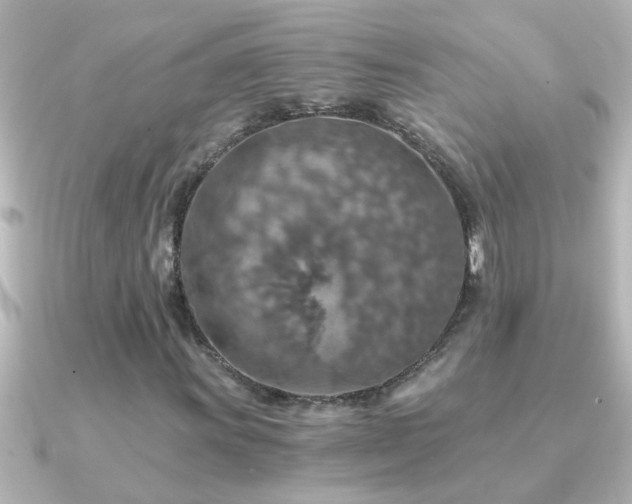 X0000091181011200708091218