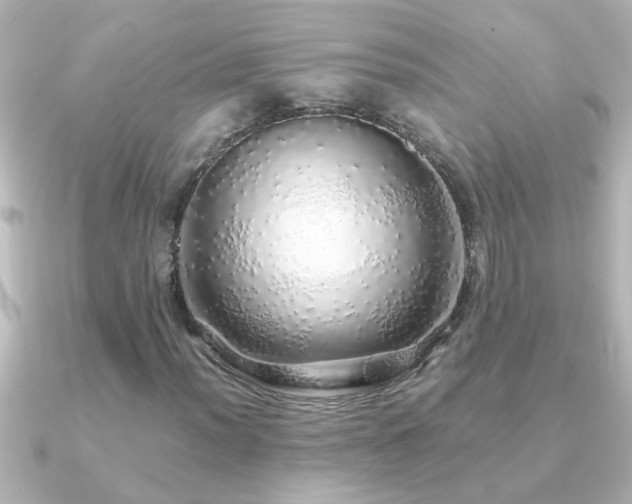 X0000091181012200708091218
