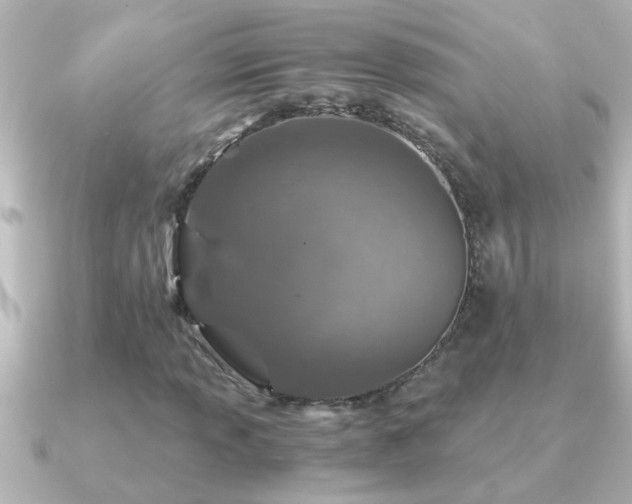 X0000091181013200708091218