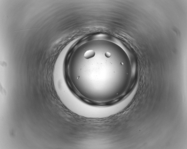 X0000091181014200708091218