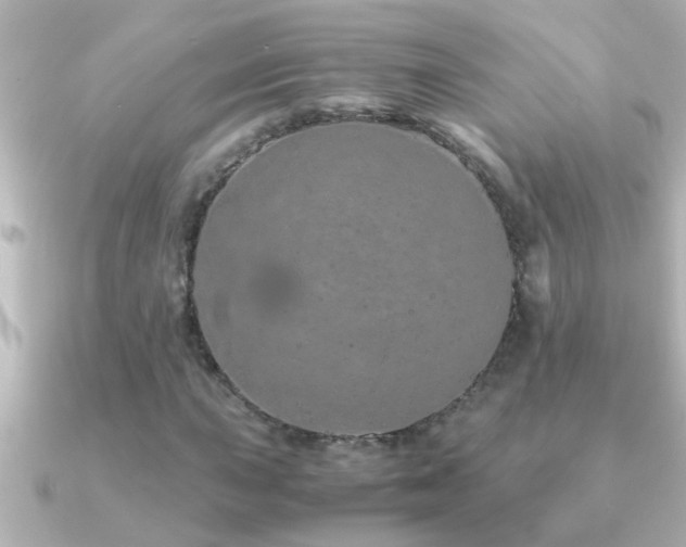X0000091181015200708091218