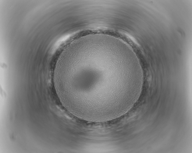 X0000091181016200708091218