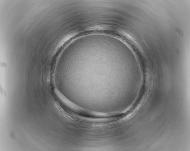 X0000091181017200708091218