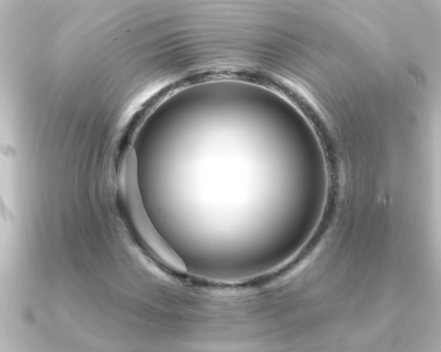 X0000091181018200708091218