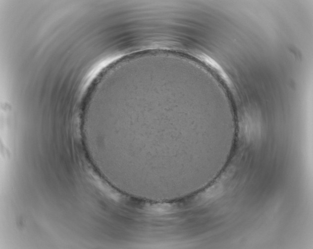 X0000091181019200708091218