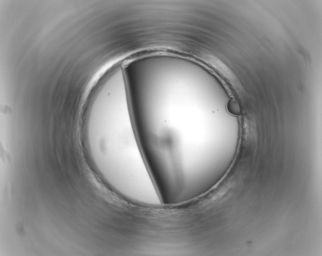 X0000091181020200708091218