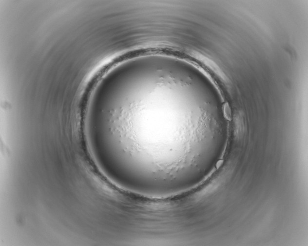 X0000091181021200708091218