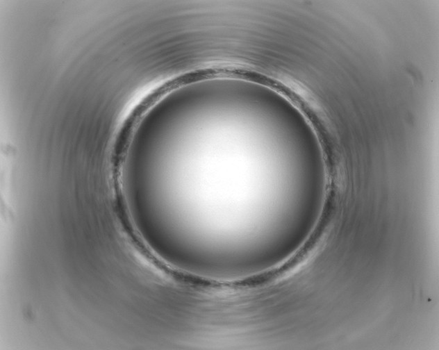 X0000091181022200708091218