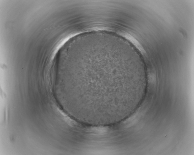 X0000091181023200708091218