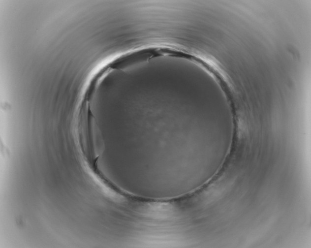 X0000091181024200708091218