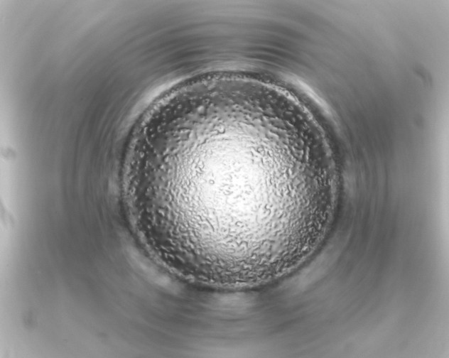 X0000091181025200708091218