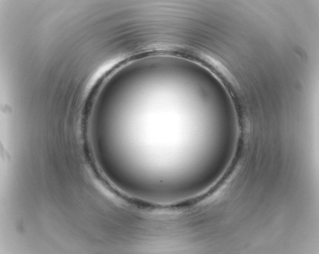X0000091181026200708091218