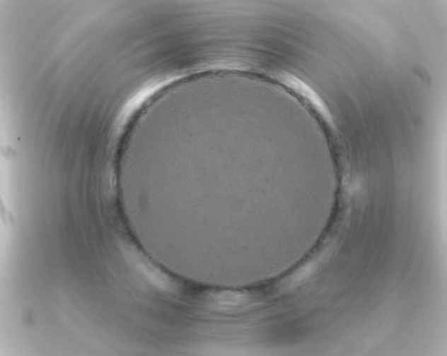 X0000091181027200708091218