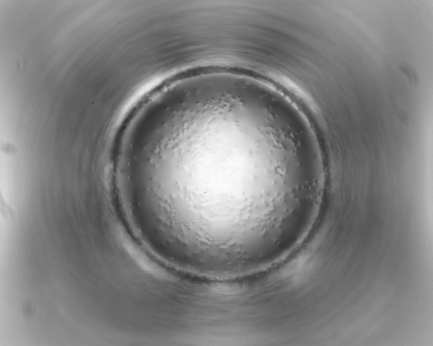 X0000091181029200708091218